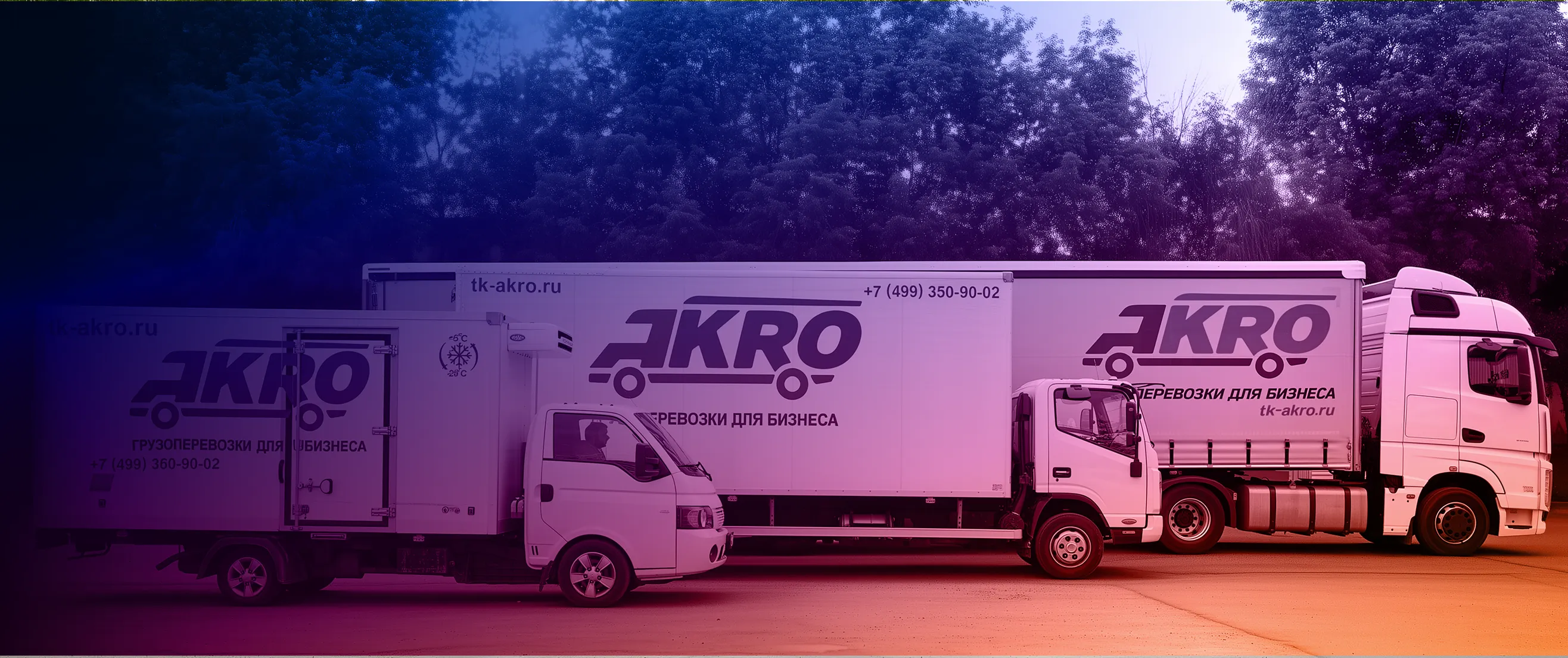 изображение в заголовке